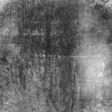 Etude (Performance) by Wasteperson - album cover