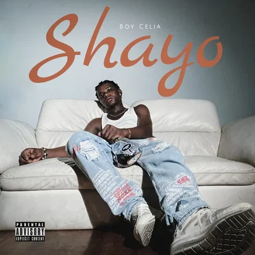 Shayo by Oluwasegun Temitope Fadele - album cover