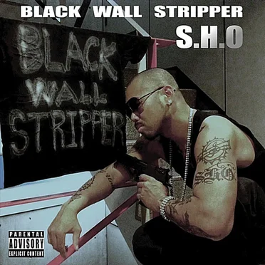 Black Wall Stripper by S.H.O - album cover