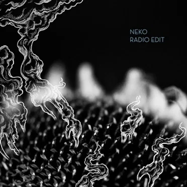 Radio Edit by Neko - album cover