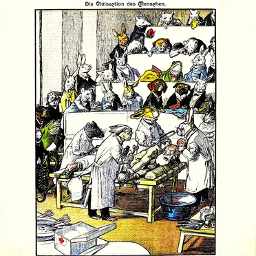 Die vivisection des menschen