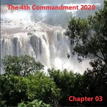The 4th Commandment 2020, Chapter 03 by The Godfathers of Deep House SA - album cover