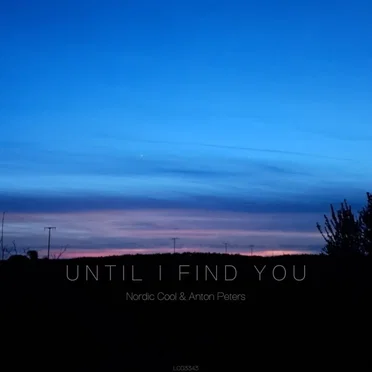 Until I Find You