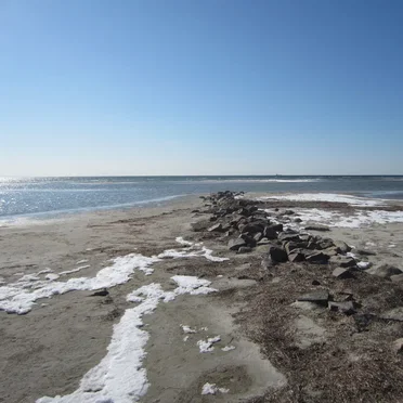 Beach Tracks
