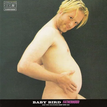 Fatherhood by Baby Bird - album cover
