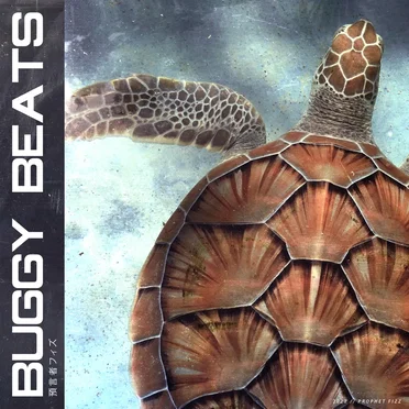 buggy beats