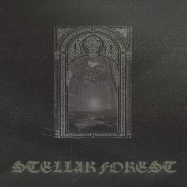 Stellar Forest by Stellar Forest - album cover