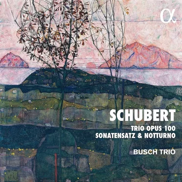 Trio, op. 100 / Sonatensatz / Notturno