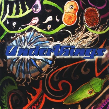 Beautiful Grotesque by Underthings - album cover