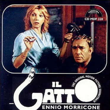 Il gatto