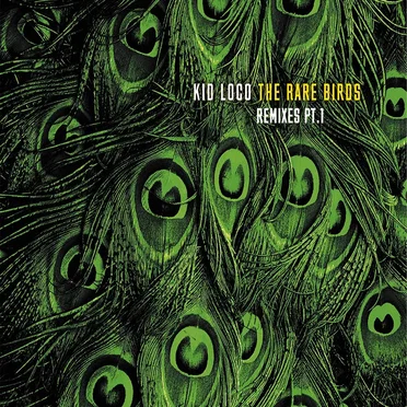 The Rare Birds Remixes, Pt. 1