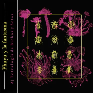 A| Tetralogía de Bichos y Setas by Phuyu y la Fantasma - album cover