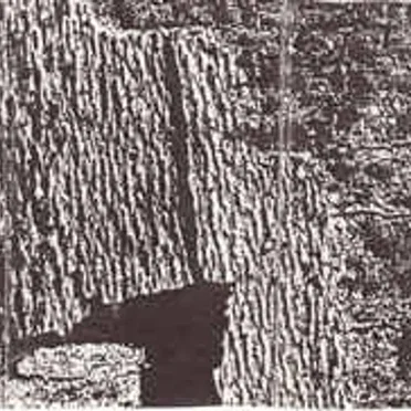 3. Compilation Of Released Tracks