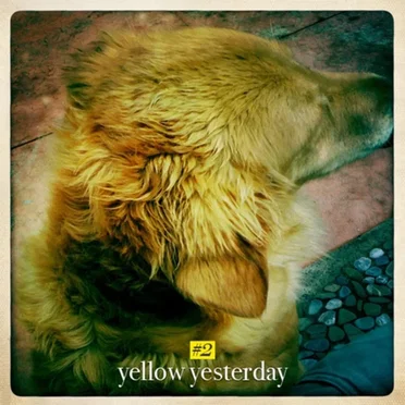 Yellow Yesterday