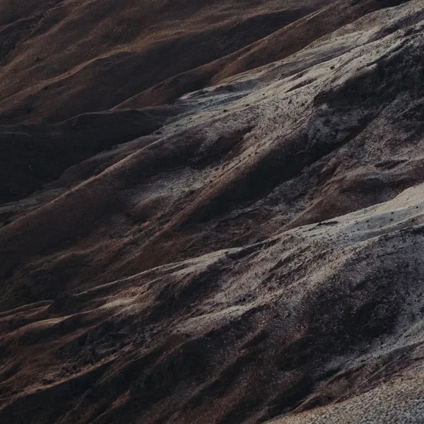 Even a Bird Loves It’s Nest