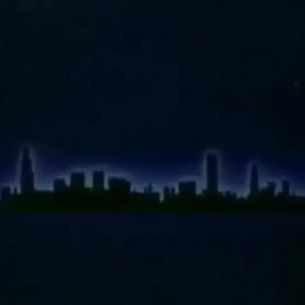 NETSCAPE