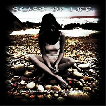 What We Reflect by Scars of Life - album cover