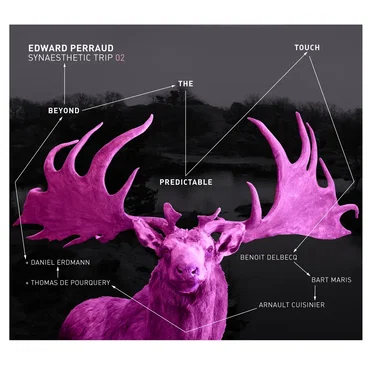 Synaesthetic Trip 02: Beyond the Predictable Touch