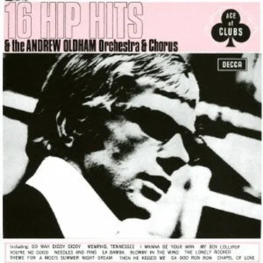 The Andrew Oldham Orchestra