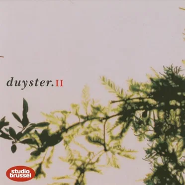 duyster.II by Various Artists - album cover