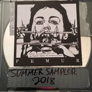 Summer Sampler 2018 by Femur - album cover