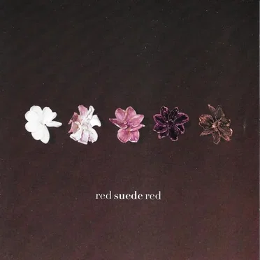 Redsuedered by RedSuedeRed - album cover
