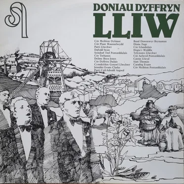 Doniau Dyffryn Lliw by Various Artists - album cover