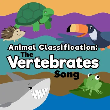 The Vertebrates Song by Hopscotch Songs - album cover