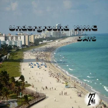 Underground Wmc Days by Various Artists - album cover