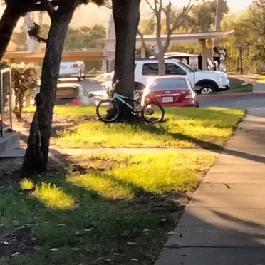 Forgotten Phone Fields: Record-065 & Record-066