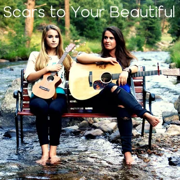 Scars to Your Beautiful