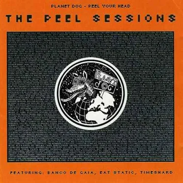 The Peel Sessions - Peel Your Head by Various Artists - album cover