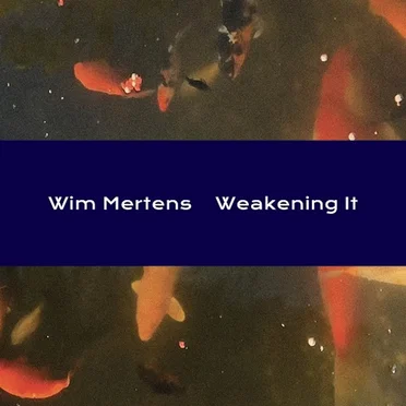 Weakening It by Wim Mertens - album cover