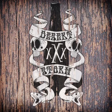 Desert Storm by Desert Storm - album cover