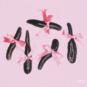Leech (Toronto Is Broken remix)