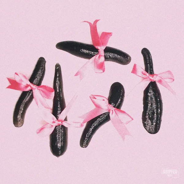 Leech (Toronto Is Broken remix)
