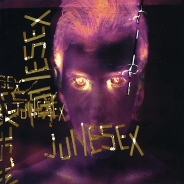 So Fucking Chic by Junesex - album cover