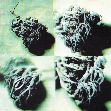 Duster 69 by Duster 69 - album cover