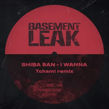 I Wanna (Tchami remix)