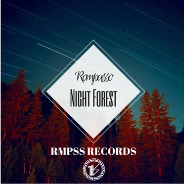 Night Forest