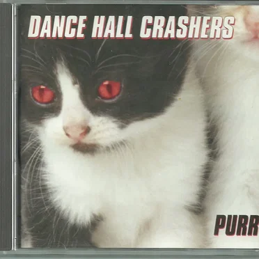 Purr