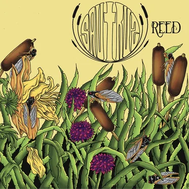 Reed: Chapter One by Sautrus - album cover
