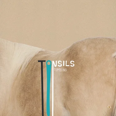 Tumbling by Tonsils - album cover
