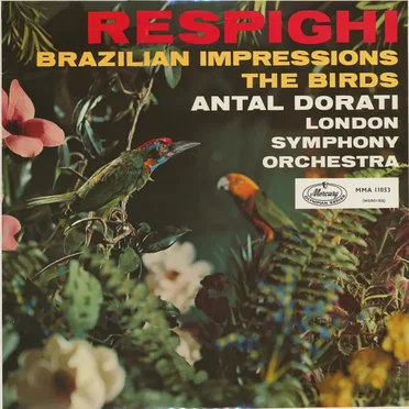 Brazillian Impressions / The Birds