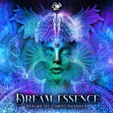 Realms Of Consciousness by Dream Essence - album cover