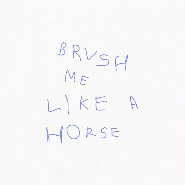Brush Me Like a Horse
