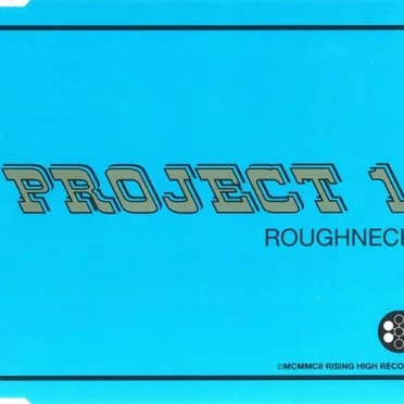 Roughneck by Project One - album cover