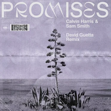Promises (David Guetta remix)