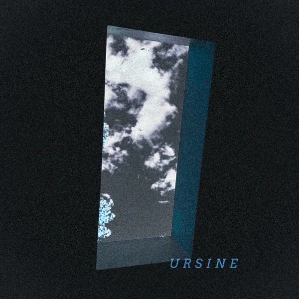 Ursine