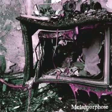 Metamorphose by 凛 -the end of corruption world- - album cover